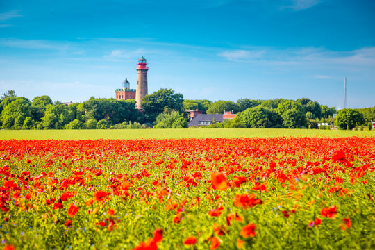 Kap Arkona lighthouse with red poppy flowers in summer, R&uuml;gen, Ostsee, Germany