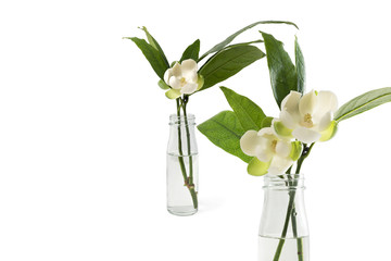White magnolia flower and green leaf in in a glass vase on isolated background with clipping path. © suwanb
