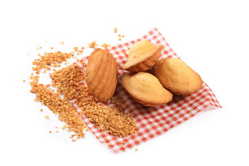 madeleine sur fond blanc,pâtisserie
