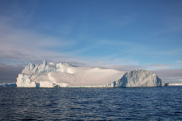 Fototapeta na wymiar Eisberg in Grönland mit kleiner Möwe und strukturiertem Himmel