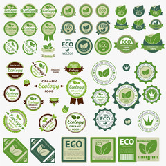 Big set of Eco labels with retro vintage design. Vector