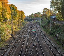 Railway infrastructure in colorful autumn colors in Riga, Latvia. Electric train riding through colorful birch alley. 