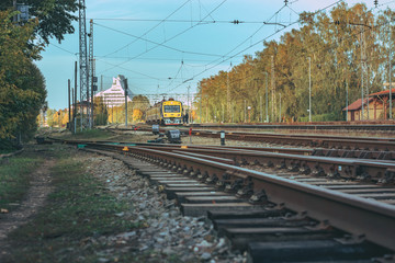 Railway infrastructure in colorful autumn colors in Riga, Latvia. Electric train riding through colorful birch alley. 