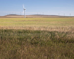 Fototapeta na wymiar Wind Turbine near Lunbreck Alberta