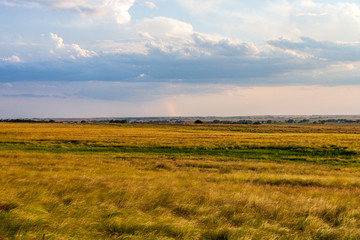 Plains Landscape