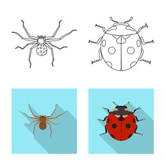 Isolated object of insect and fly sign. Collection of insect and element stock vector illustration.