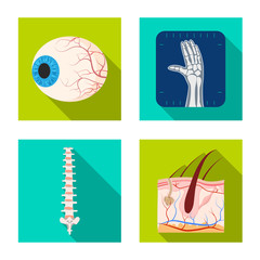 Vector illustration of body and human symbol. Set of body and medical vector icon for stock.