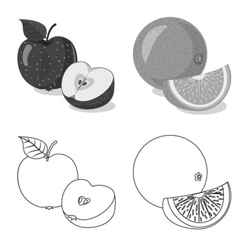 Isolated object of vegetable and fruit icon. Set of vegetable and vegetarian vector icon for stock. © Svitlana