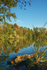 an den Krickenbecker Seen im Schwalm-Nette Naturpark nahe Nettetal,Niederrhein,Nordrhein-Westfalen,Deutschland