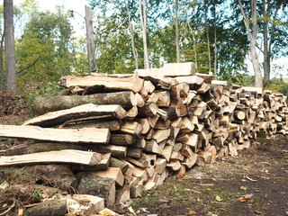 Holzstapel