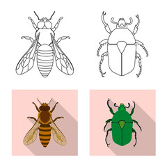 Vector illustration of insect and fly logo. Collection of insect and element vector icon for stock.