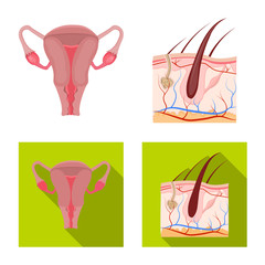 Vector design of body and human symbol. Set of body and medical stock vector illustration.