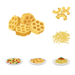 Isolated object of pasta and carbohydrate icon. Set of pasta and macaroni stock vector illustration.
