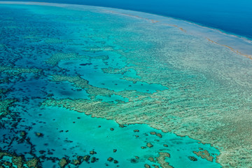 aerial view of great barrier reef, whitsundays