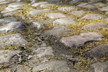 Cobblestone Road- Detail