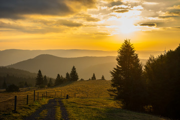 Germany, Black forest misty morning atmosphere at sunrise in paradise