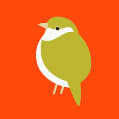 warbler bird  vector illustration flat style front