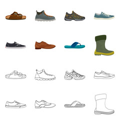 Vector design of shoe and footwear icon. Collection of shoe and foot vector icon for stock.