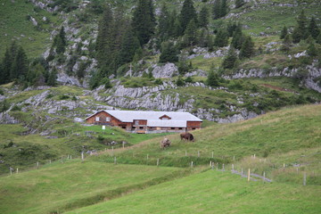 Fototapeta na wymiar Домик в горах Швейцарии