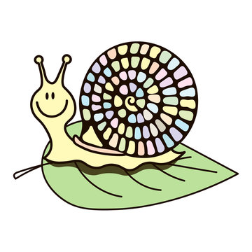 Vector illustration. Cute snail on the leaf. Cartoon funny style.