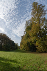 Fototapeta na wymiar Beautiful clouds contrast with autumn colours at Nowton Park