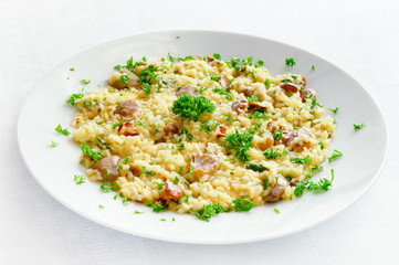 risotto on chicken broth with chanterelles, bovine boletes, suillus, and russula, onion, cheese, safran, and white wine decorated with parsley