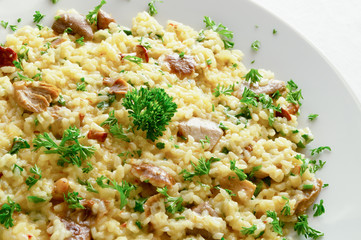 risotto with chanterelles, bovine boletes, suillus, and russula  decorated with parsley