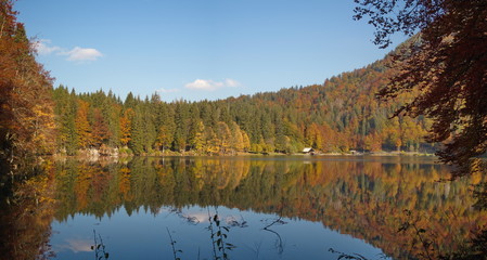 Herbst am Lago di Fusine inferiore (Weissenfelser See) / Friaul / Italien