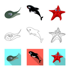 Vector illustration of sea and animal logo. Set of sea and marine vector icon for stock.