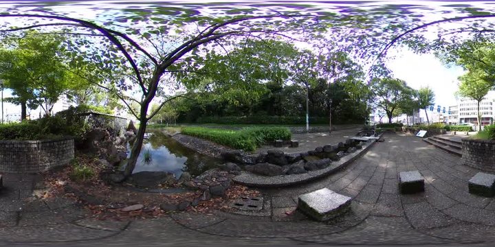 めだかの学校