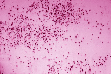 Grungy rusted metal surface in pink tone.