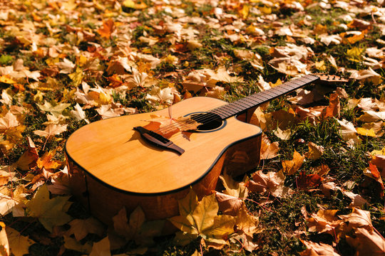 Autumn background with yellow leaves in the park and with a guitar