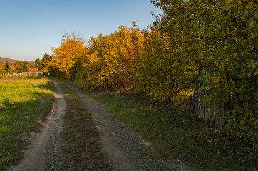 Naklejka premium Autumn colors in Hungarian nature 
