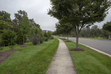 Walk way among green trees and grass. Cloudy, spring.