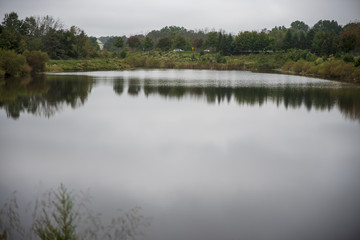 Fototapeta na wymiar Water pond surrounded by green trees