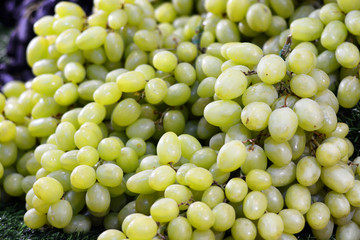 green grape in market as background