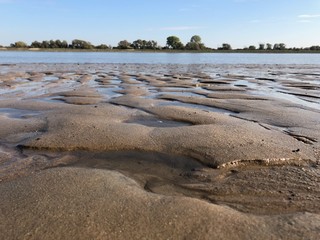 Spuren im Weser-Flussbett mit Ufer im Hintergrund