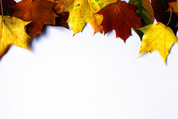 Frame of colorful autumn leaves isolated on white, copy space