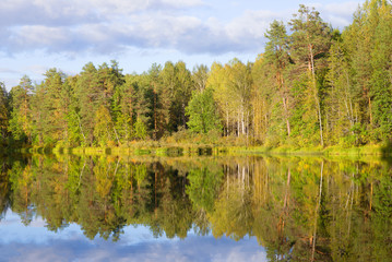 Fototapeta na wymiar Sunny September evening on a forest lake. Kostroma region, Russia