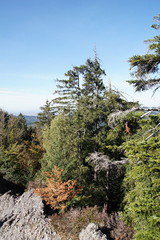 Obraz premium Hauptkamm des Karlsruher Grat bei Ottenhöfen