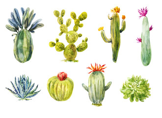 Set of different cacti. Watercolor illustration