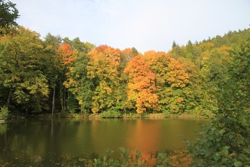 Herbstblätter