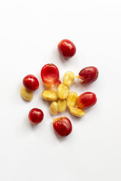 fresh skin of coffee cherries for made cascara tea eco-friendly unique drink