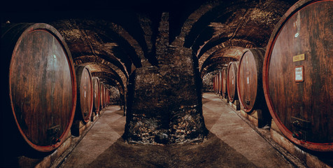 Old cellar with oak wine barrels
