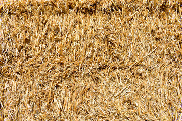 TEXTURE OF GOLDEN STAWS OF A BALE 