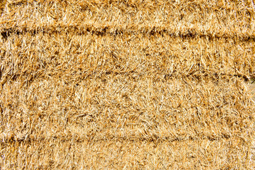 TEXTURE OF GOLDEN STAWS OF A BALE 