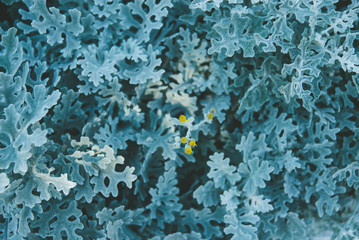 Background made of fresh green leaves. Green dynamic backdrop.