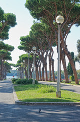 View of Sabaudia park - Latina Italy
