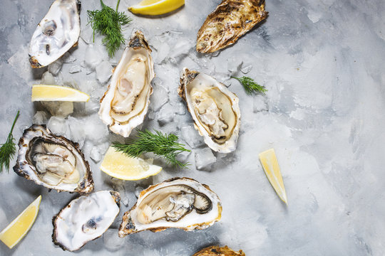 Opened Oysters with lemon on gray concrete texture background
