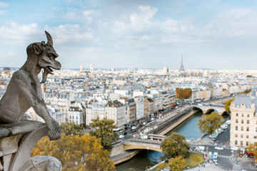Aerial panoramic view of Paris with gargoyle sculpture on the Notre-Dame cathedral during the morning light in France